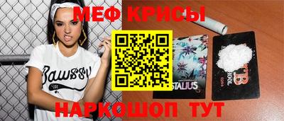 шишки Новозыбков