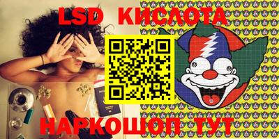 шишки Новозыбков