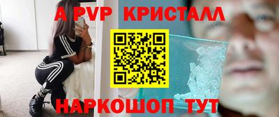 амф Новодвинск
