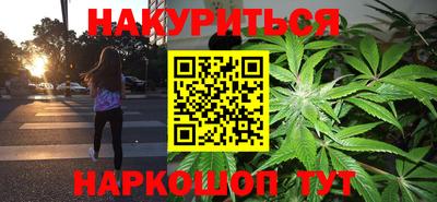 шишки Новозыбков