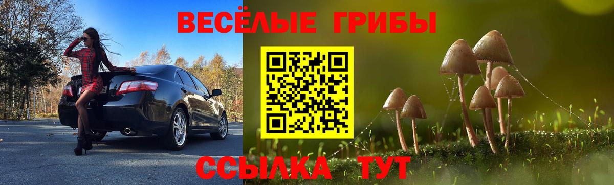 Узловая  Псилоцибиновые грибы MAGIC MUSHROOMS  Вход с VPN 